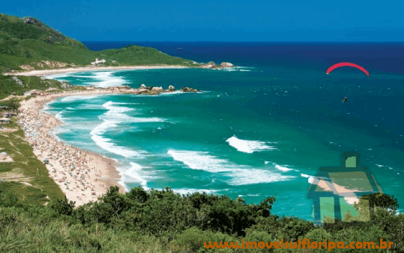 Venda de terrenos frente ao mar na Praia Mole em Florianópolis, SC