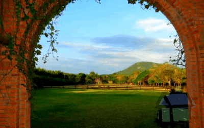 Venda de haras em Florianópolis, SC