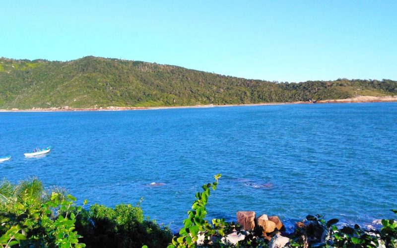 Ilha em santa catarina para venda