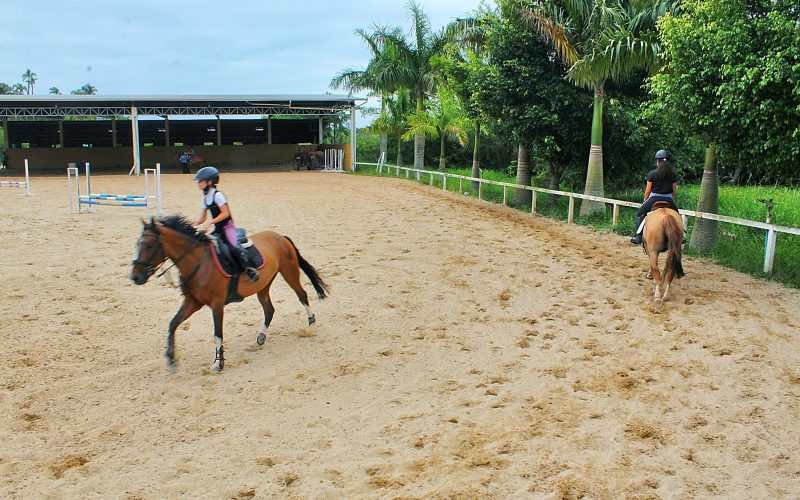 Vendo haras em florianopolis