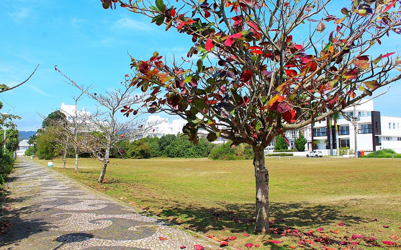 Terrenos em frente ao mar em jurere