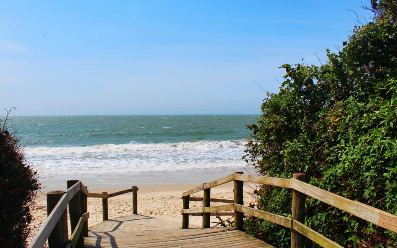 Terrenos em frente ao mar em jurere internacional